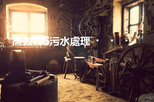 “高效TSS污水處理，守護(hù)碧水藍(lán)天新篇章”